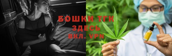 мдпв Осинники