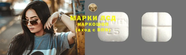 мдпв Осинники