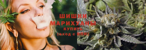 мдпв Осинники