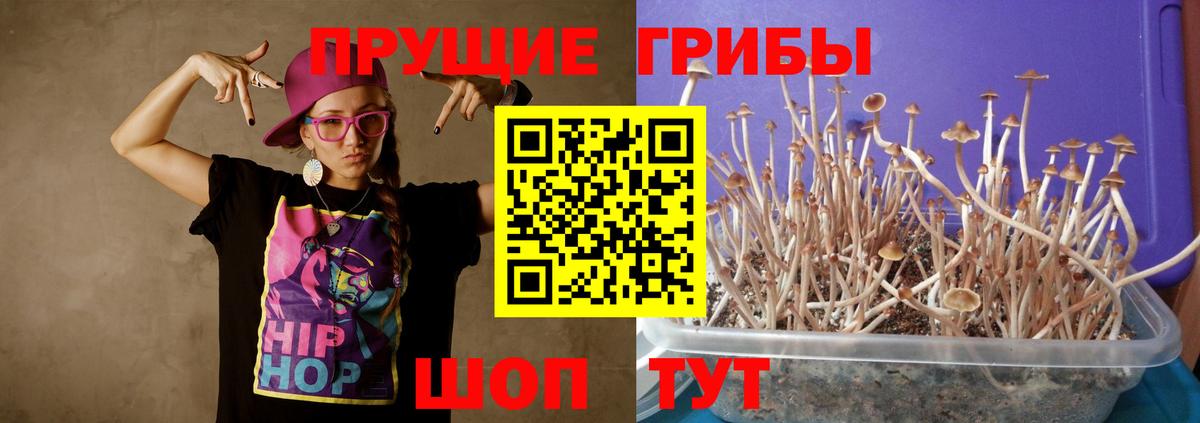 Галлюциногенные грибы мухоморы Кудымкар