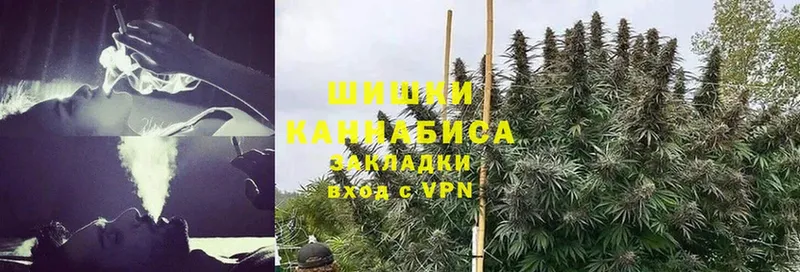 Бошки марихуана THC 21%  Кудымкар 